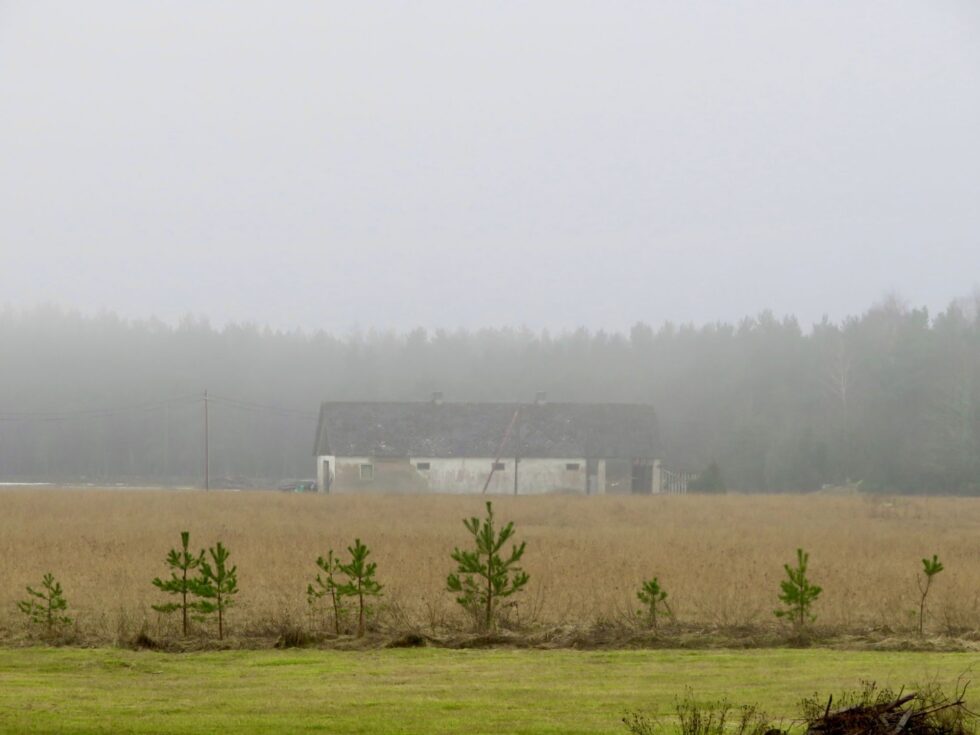 The view across the field